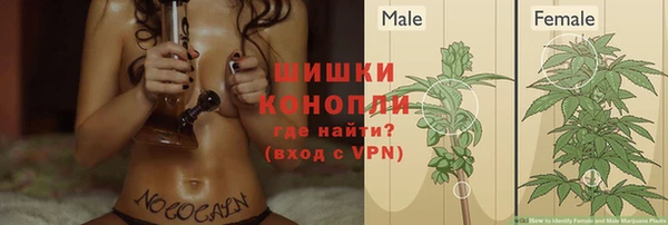 прущая мука Нея