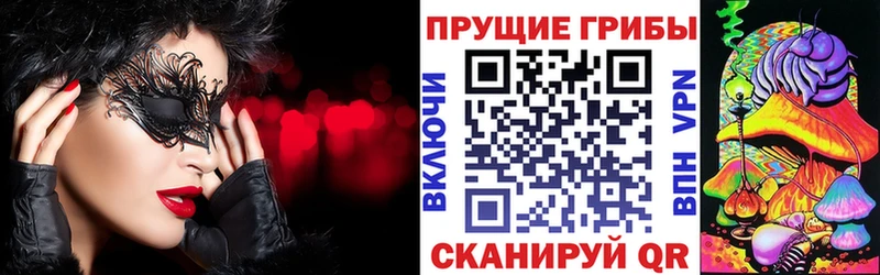 Псилоцибиновые грибы мицелий  ОМГ ОМГ как войти  Саров 