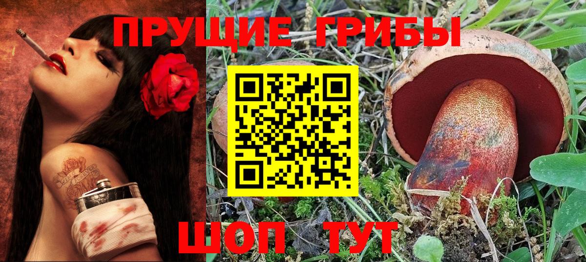 Псилоцибиновые грибы Psilocybe  Псилоцибиновые грибы Psilocybine cubensis  Вход с VPN  Саров 