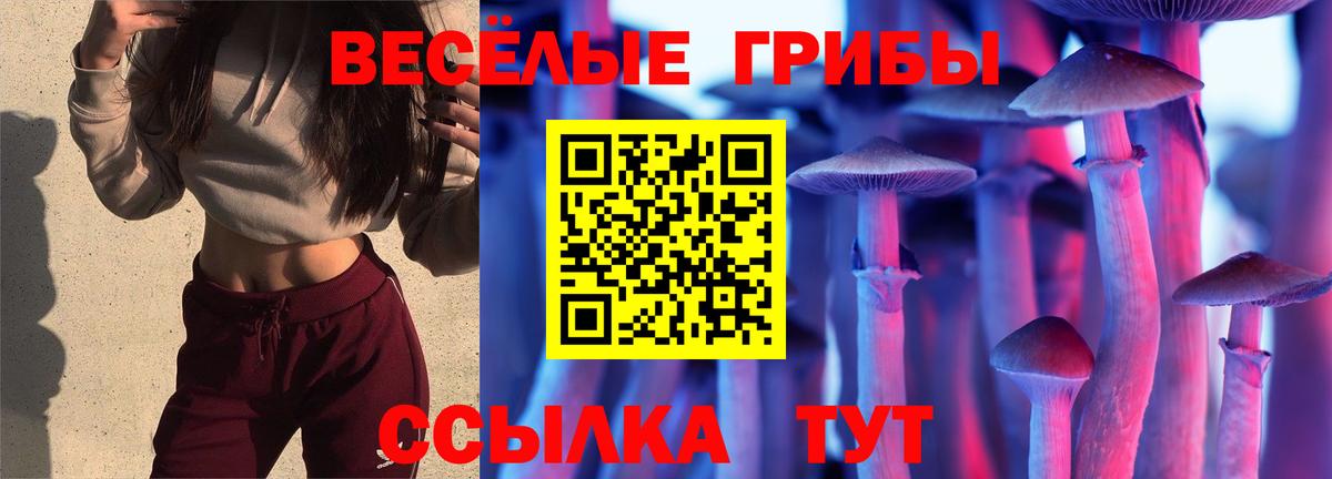 Галлюциногенные грибы ЛСД Саров