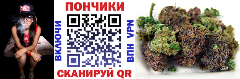 Каннабис планчик  наркошоп  Саров 